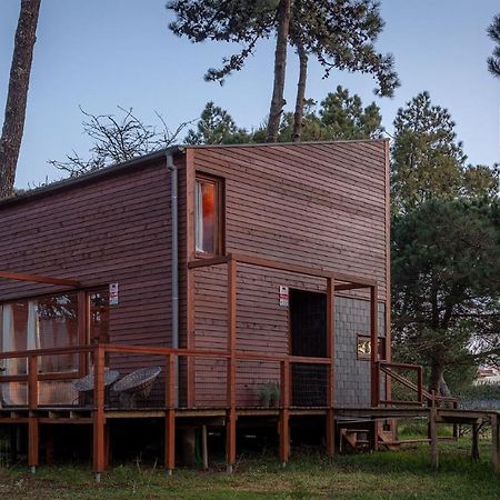 Bungalow B9 - Nature, Beach & River Fão Dış mekan fotoğraf