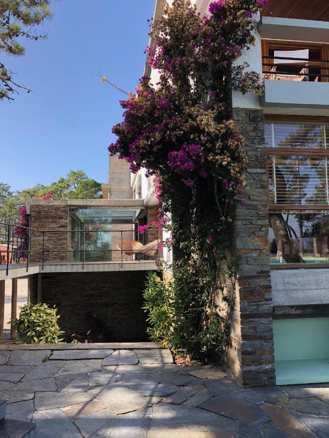 Bungalow B9 - Nature, Beach & River Fão Dış mekan fotoğraf