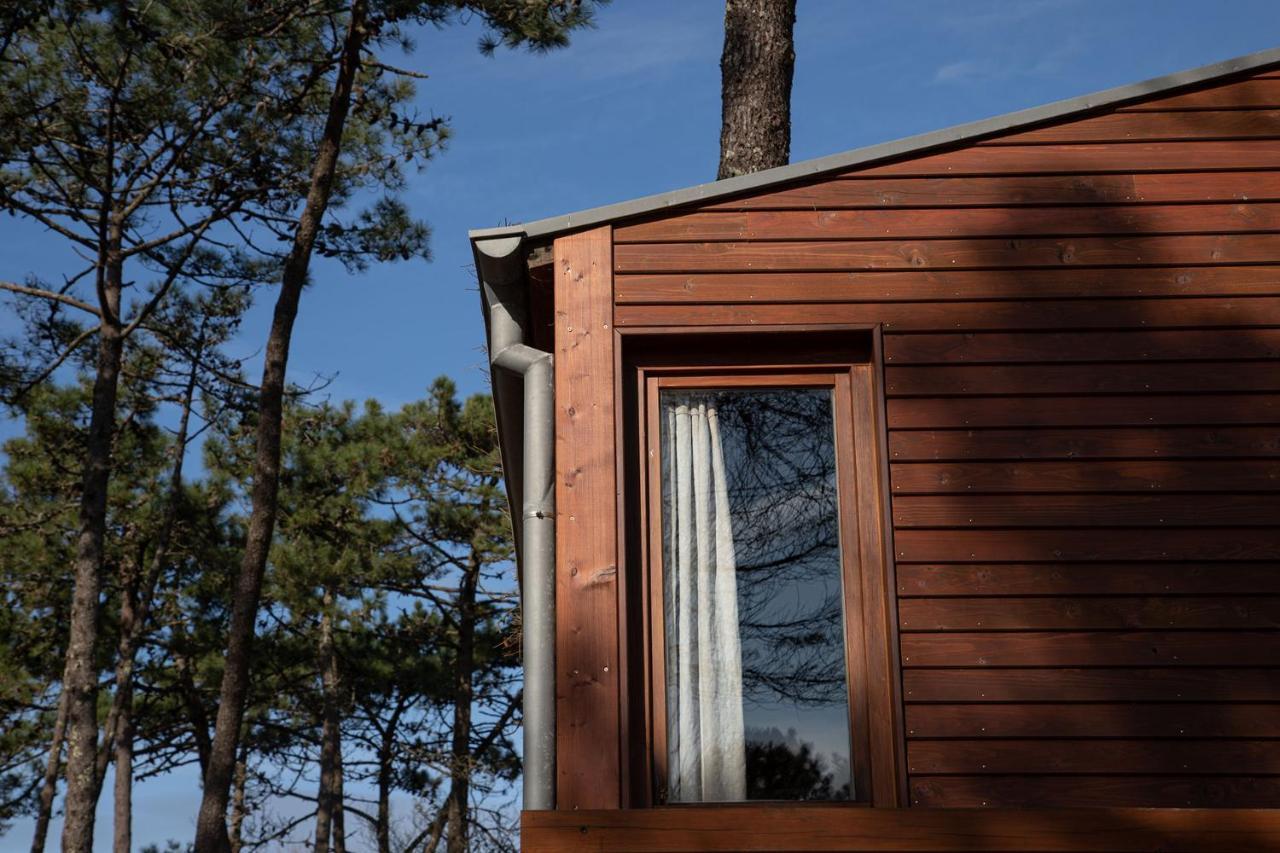 Bungalow B9 - Nature, Beach & River Fão Dış mekan fotoğraf