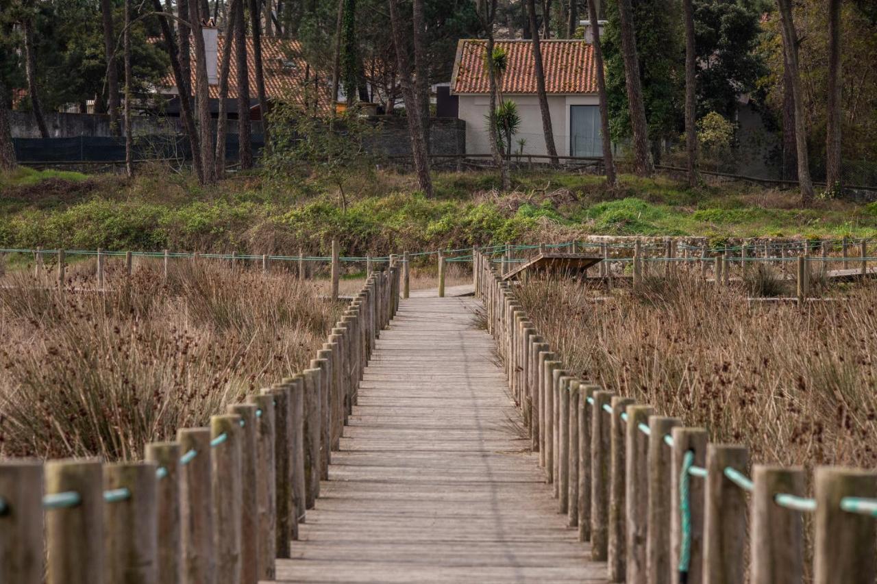 Bungalow B9 - Nature, Beach & River Fão Dış mekan fotoğraf